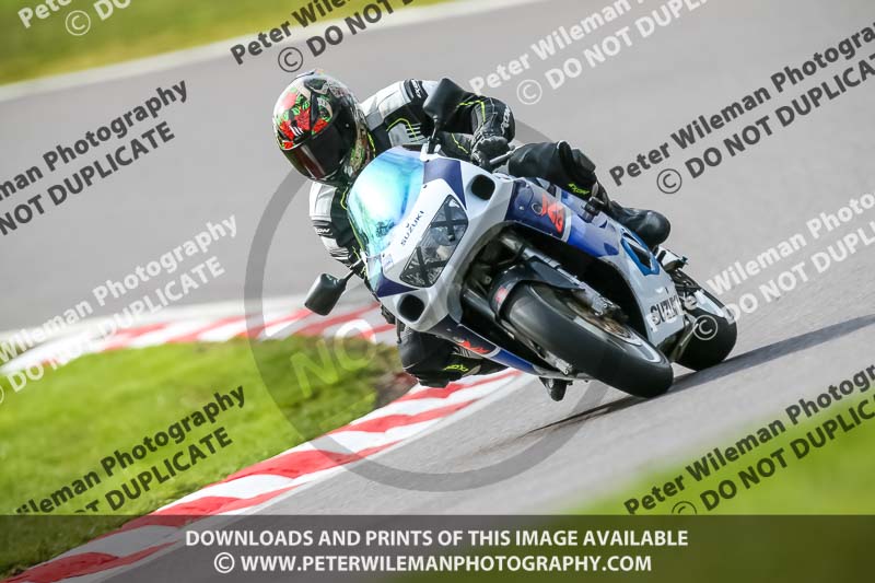 Oulton Park 21st March 2020;PJ Motorsport Photography 2020;anglesey;brands hatch;cadwell park;croft;donington park;enduro digital images;event digital images;eventdigitalimages;mallory;no limits;oulton park;peter wileman photography;racing digital images;silverstone;snetterton;trackday digital images;trackday photos;vmcc banbury run;welsh 2 day enduro